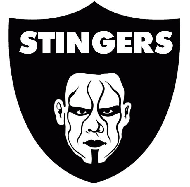 Oakland Raiders Sting Logo DIY iron on transfer (heat transfer)